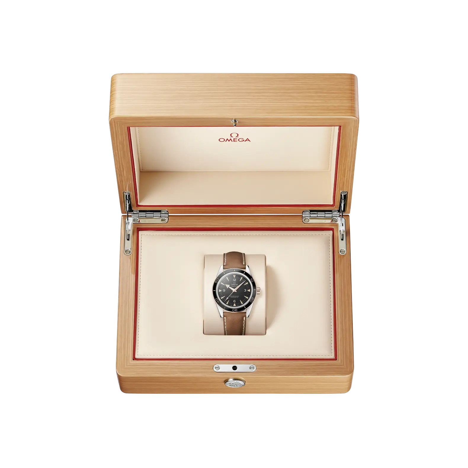 Seamaster 300 Two-Tone 41mm - Black Dial on Strap