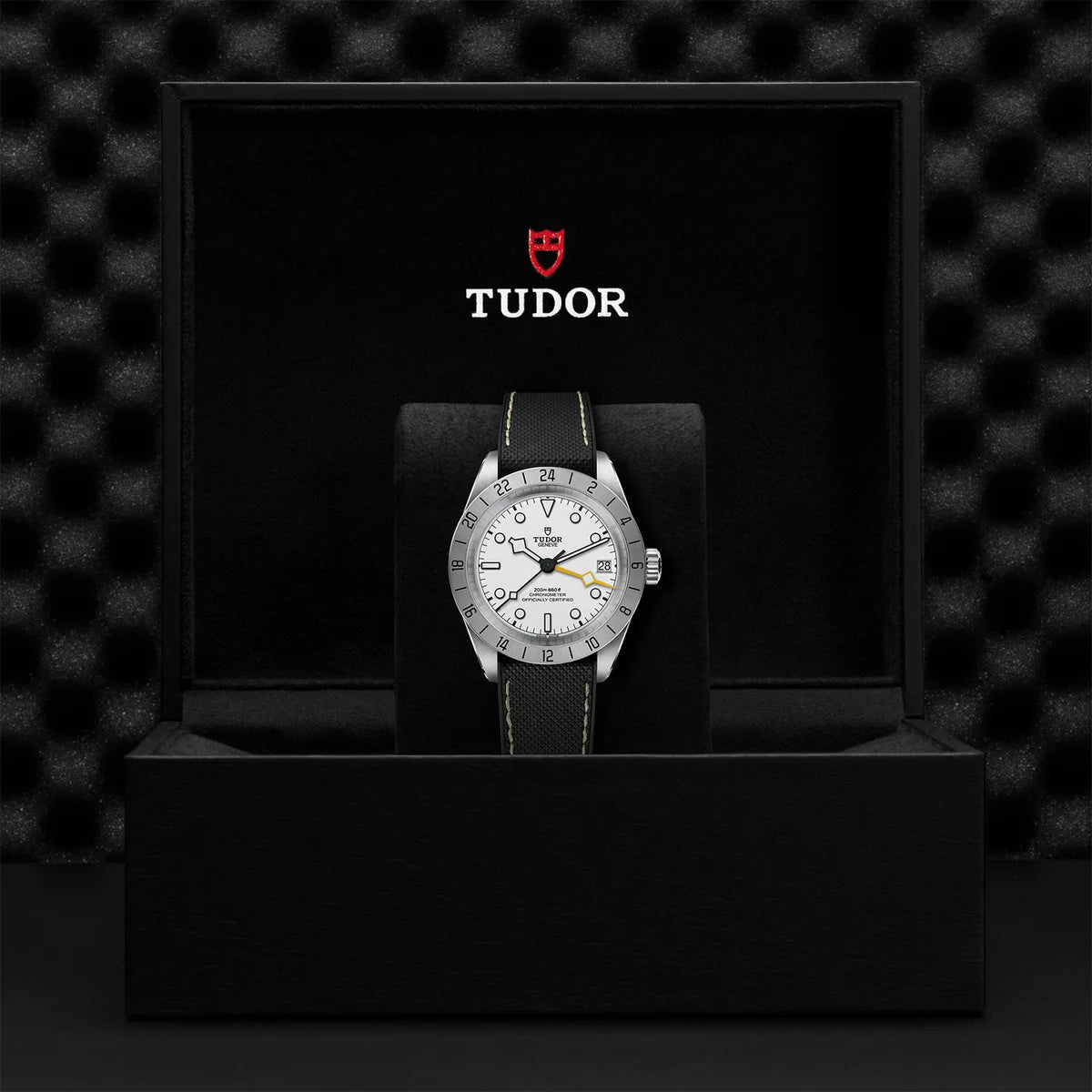 Black Bay Pro 39mm - Opaline Dial on Hybrid Strap