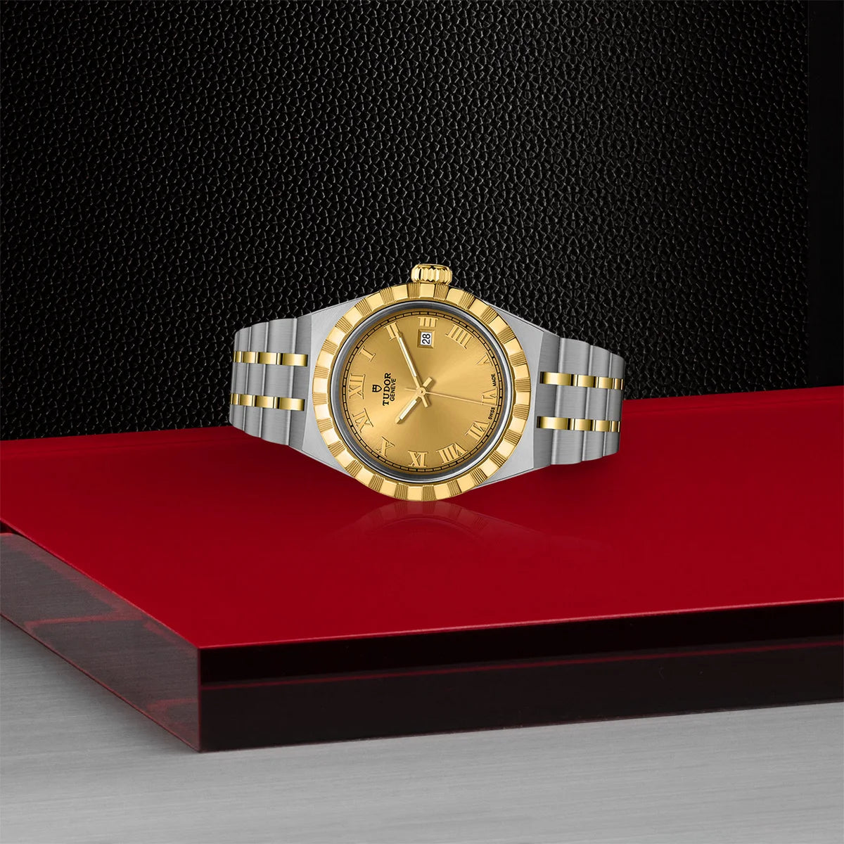 TUDOR Royal Two-Tone  28mm - Gold Dial