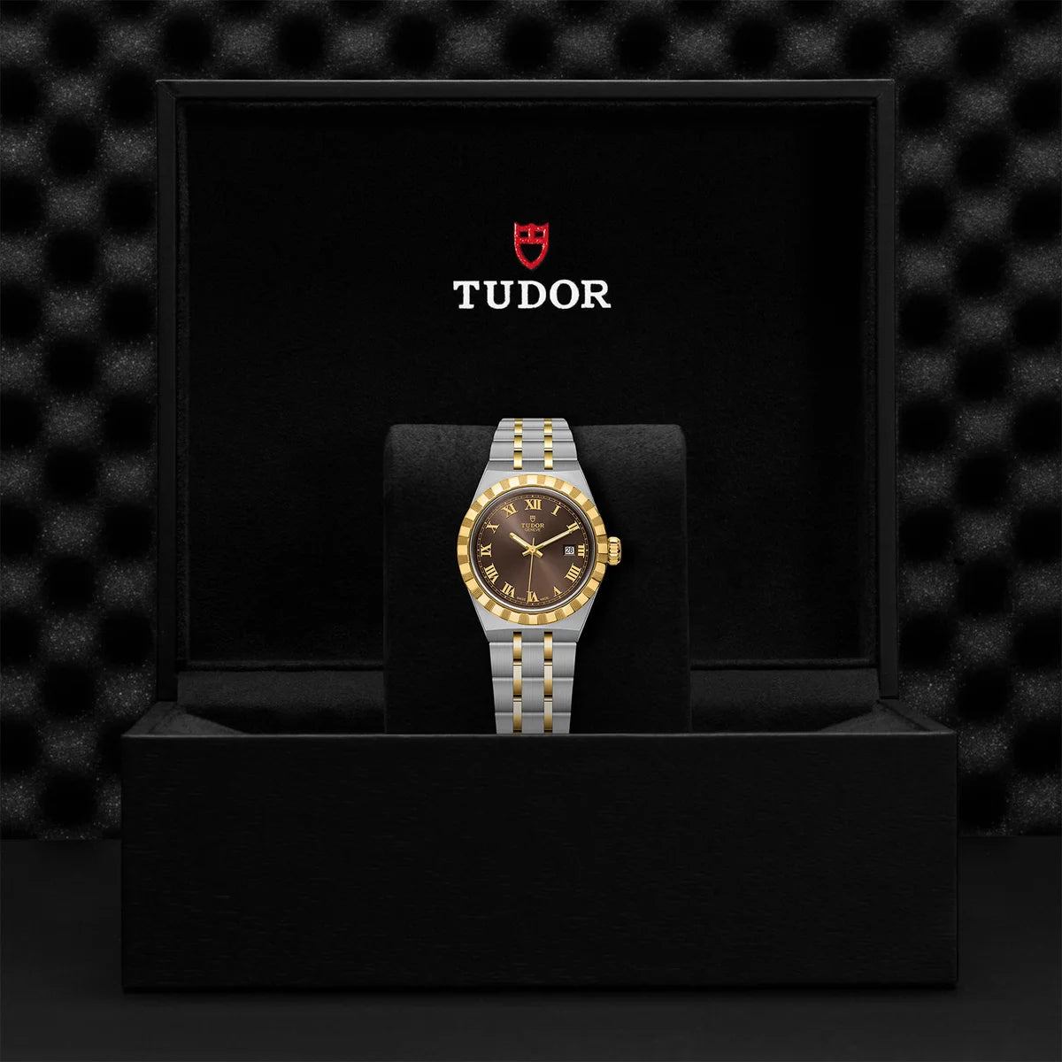 TUDOR Royal Two-Tone  28mm - Brown Dial