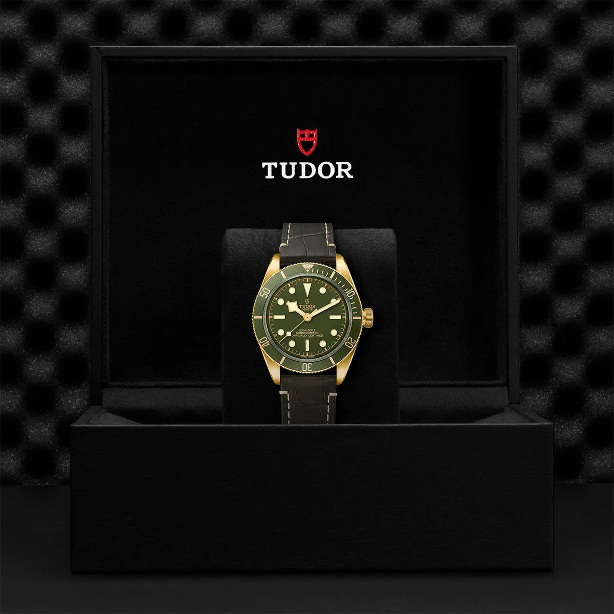 Black Bay 58 18k 39mm - Green Dial on Strap