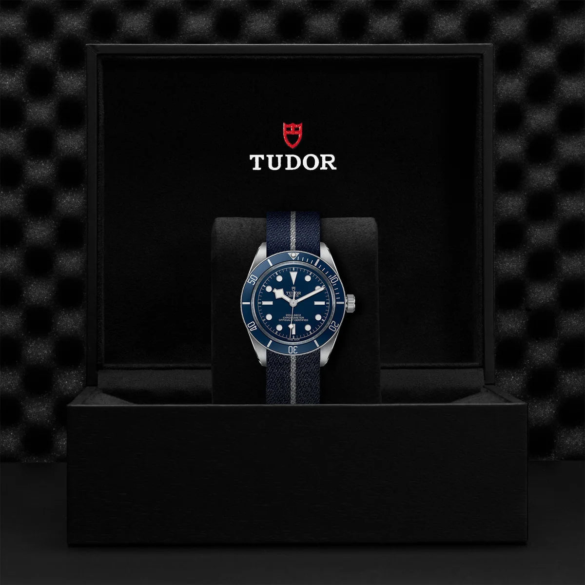 Black Bay 58 39mm - Blue Dial on Fabric Strap