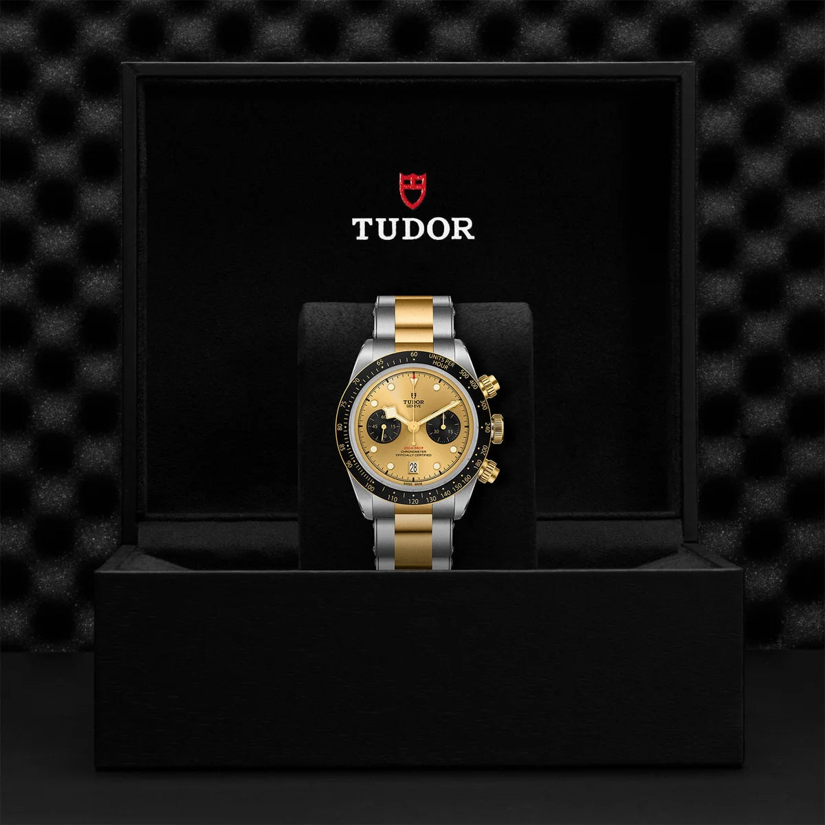 Black Bay Chrono S&G 41mm - Gold Dial on 3-Link Bracelet