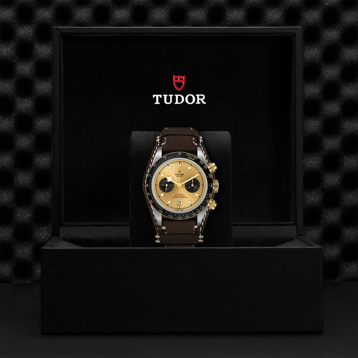 Black Bay Chrono S&G 41mm - Gold Dial on Bund Strap
