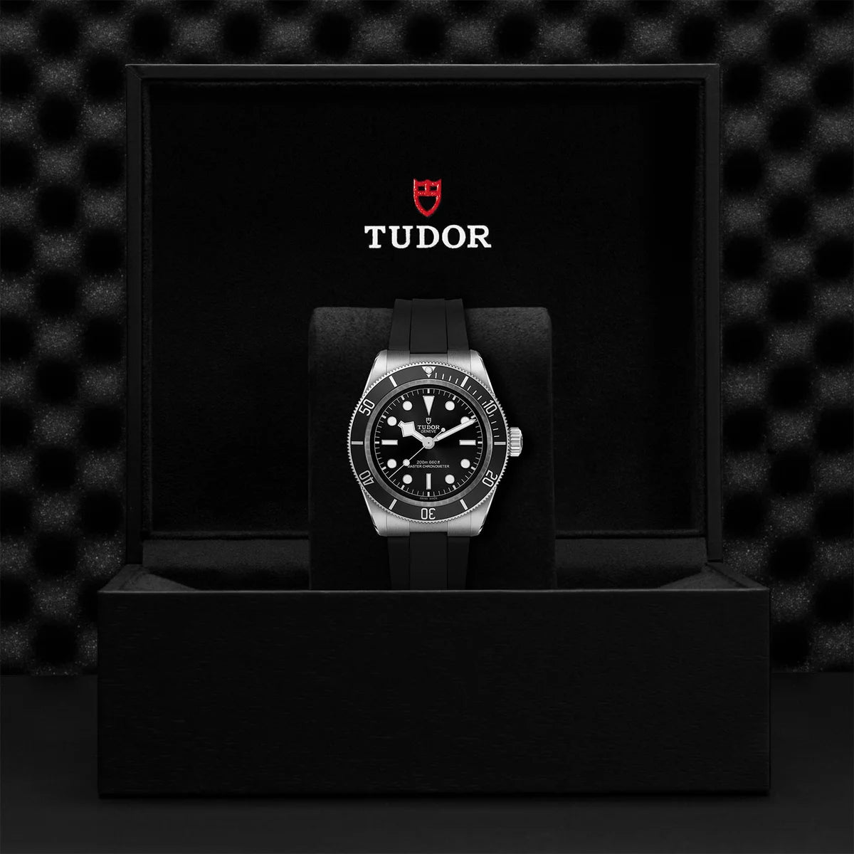 Black Bay 41mm - Black Dial on Rubber Strap