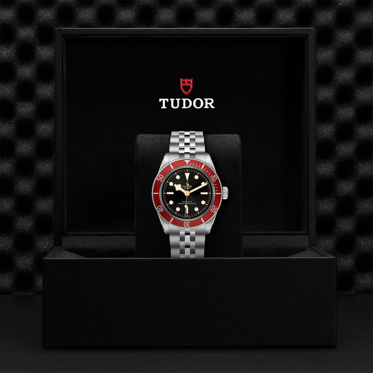 Black Bay 41mm - Red Bezel on 5-Link Bracelet