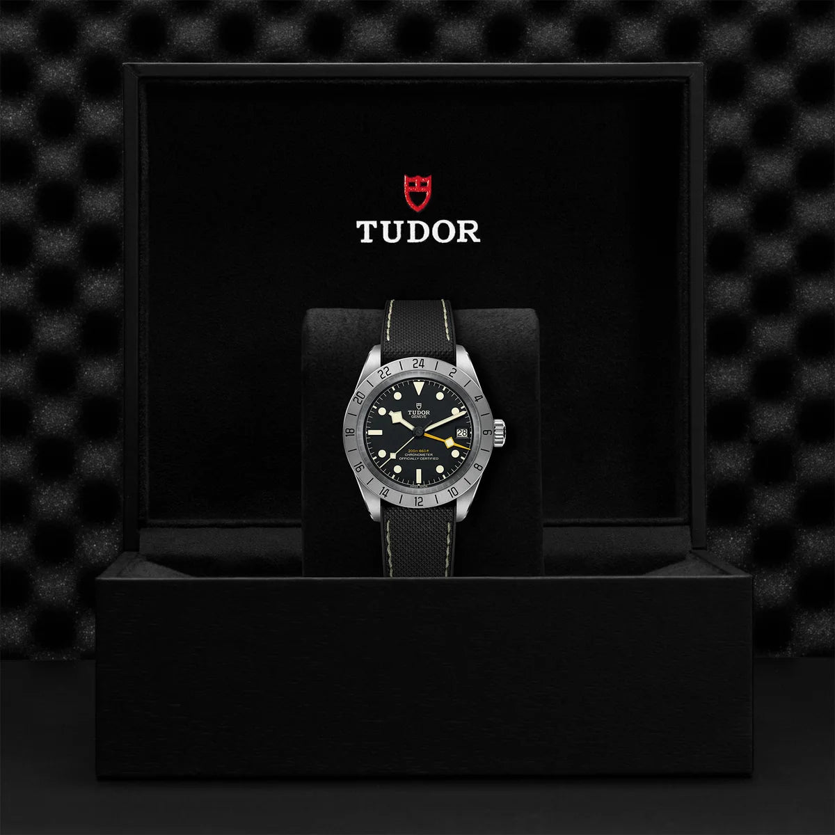 Black Bay Pro 39mm - Black Dial on Hybrid Strap