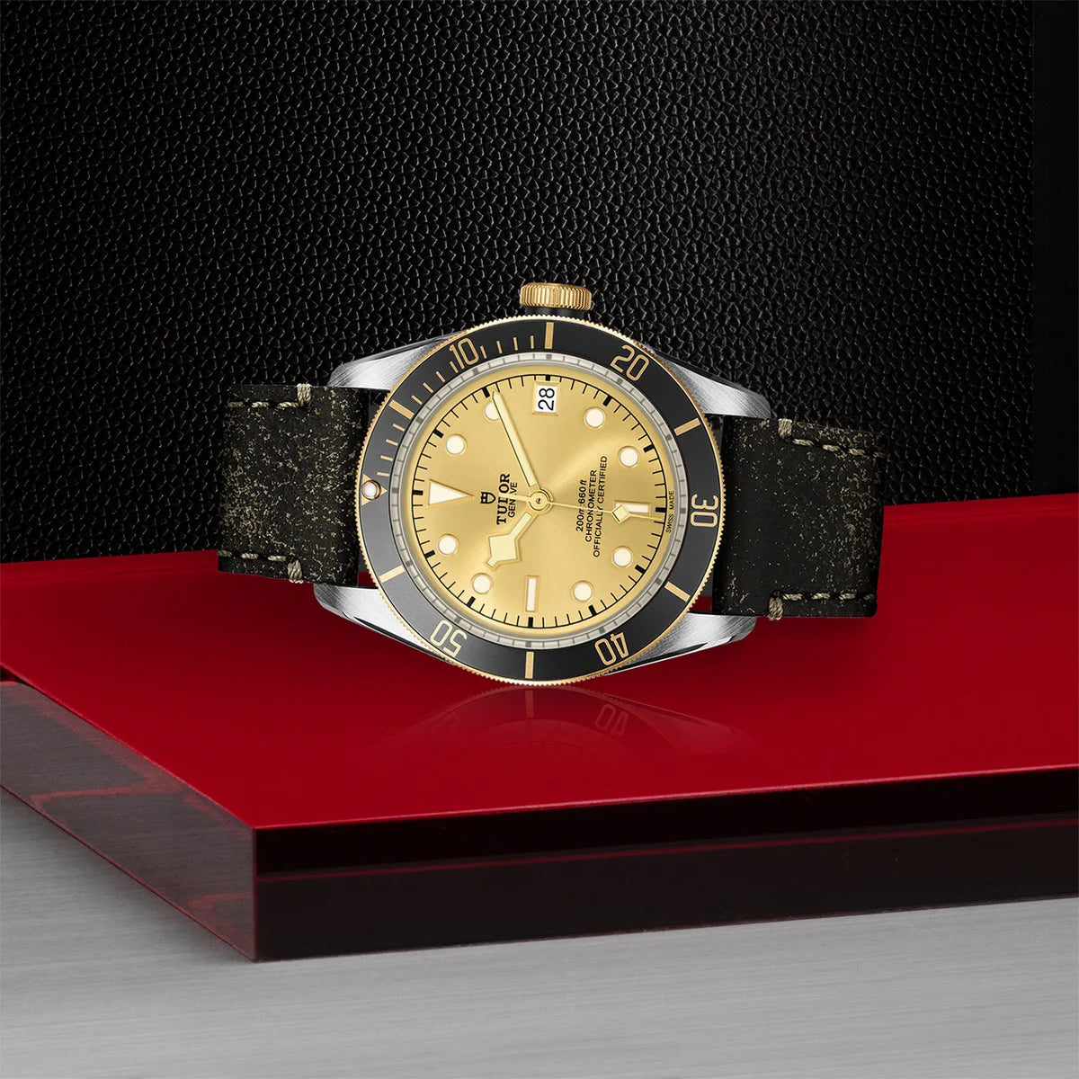 Black Bay S&G 41mm - Gold Dial on Leather Strap