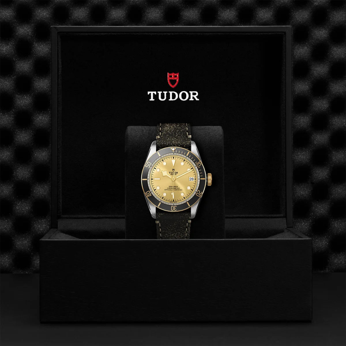 Black Bay S&G 41mm - Gold Dial on Leather Strap