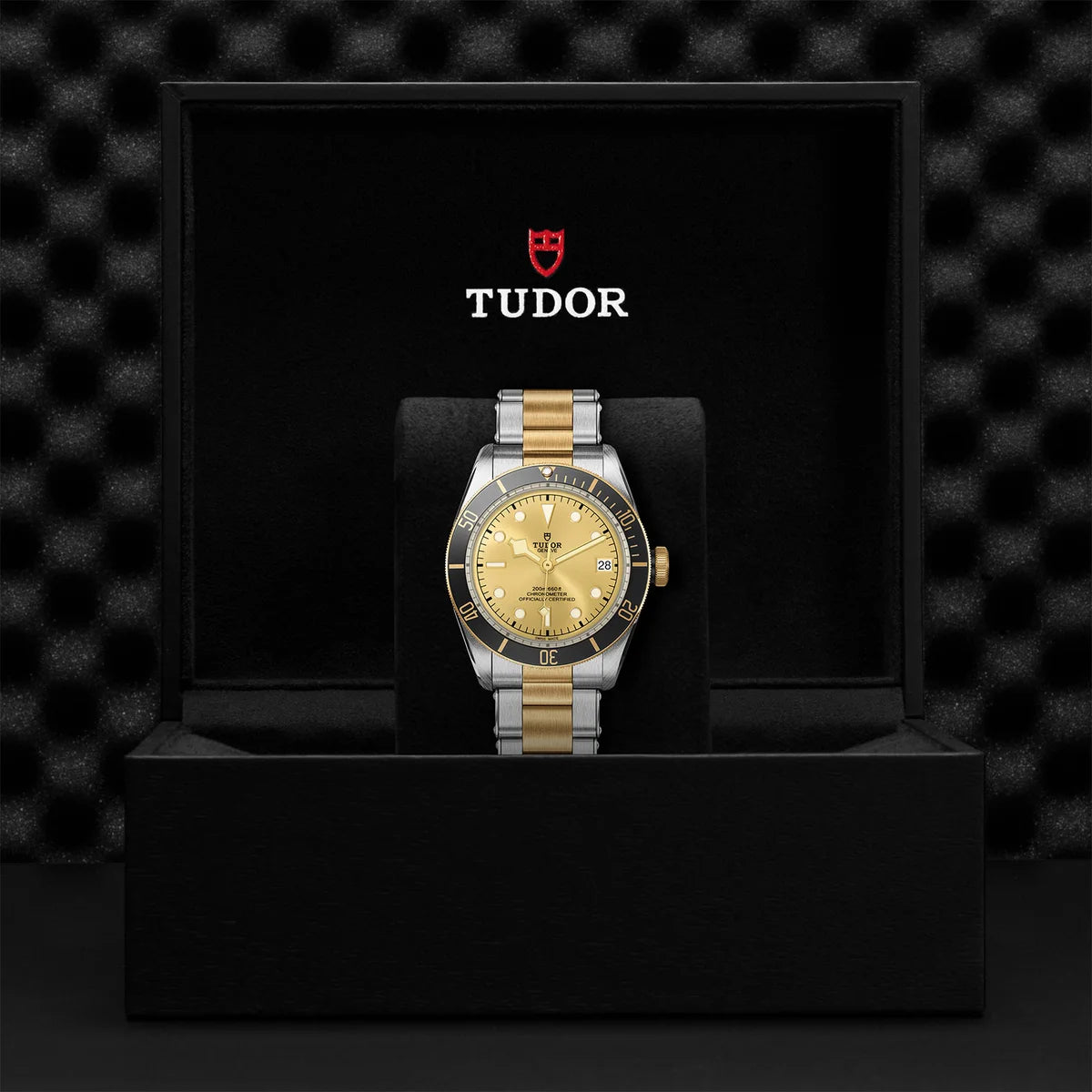 Black Bay S&G 41mm - Gold Dial on 3-Link Bracelet