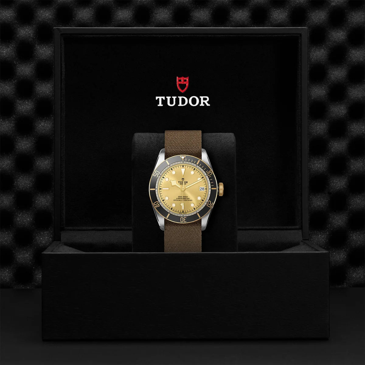 Black Bay S&G 41mm - Gold Dial on Fabric Strap