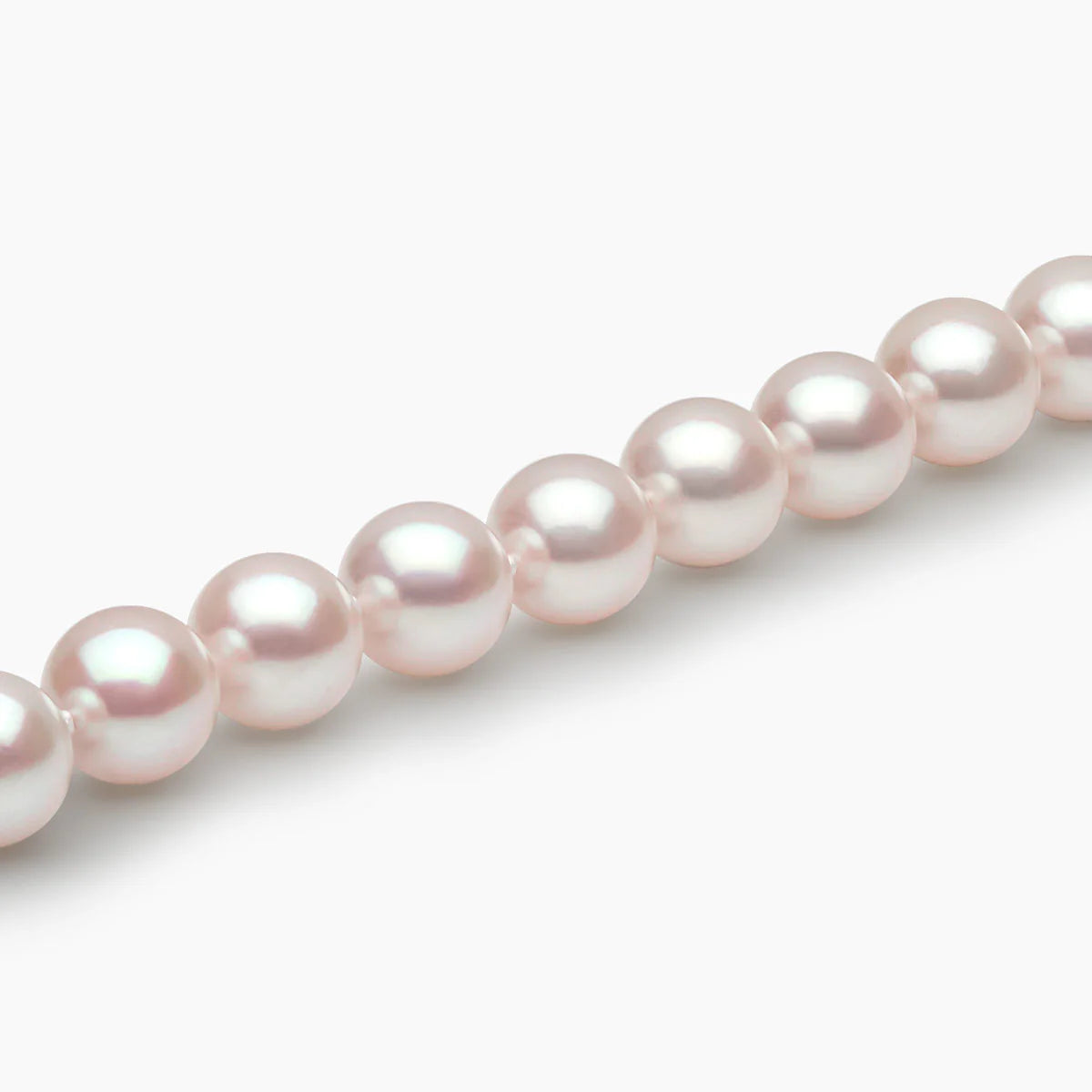 Row of  pearls on a white background