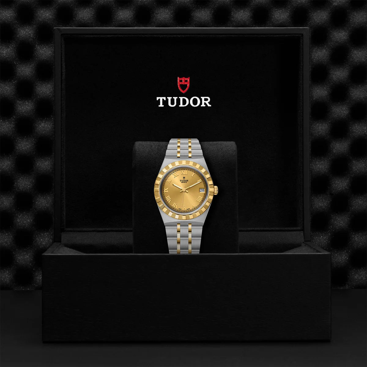 TUDOR Royal Two-Tone  34mm - Gold Dial