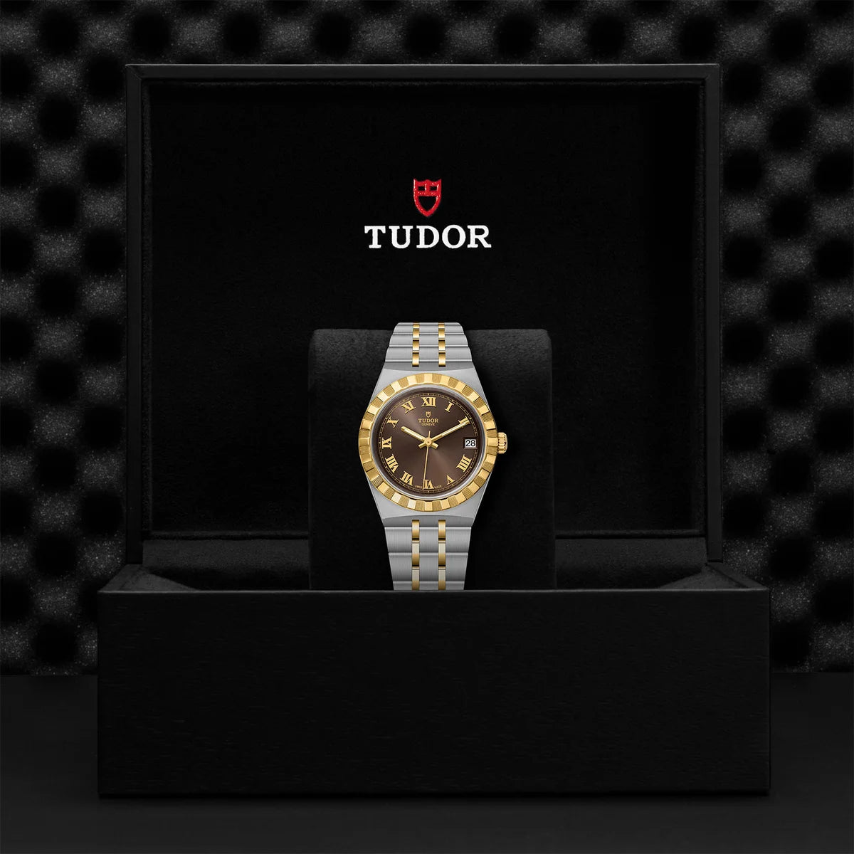 TUDOR Royal Two-Tone  34mm - Brown Dial