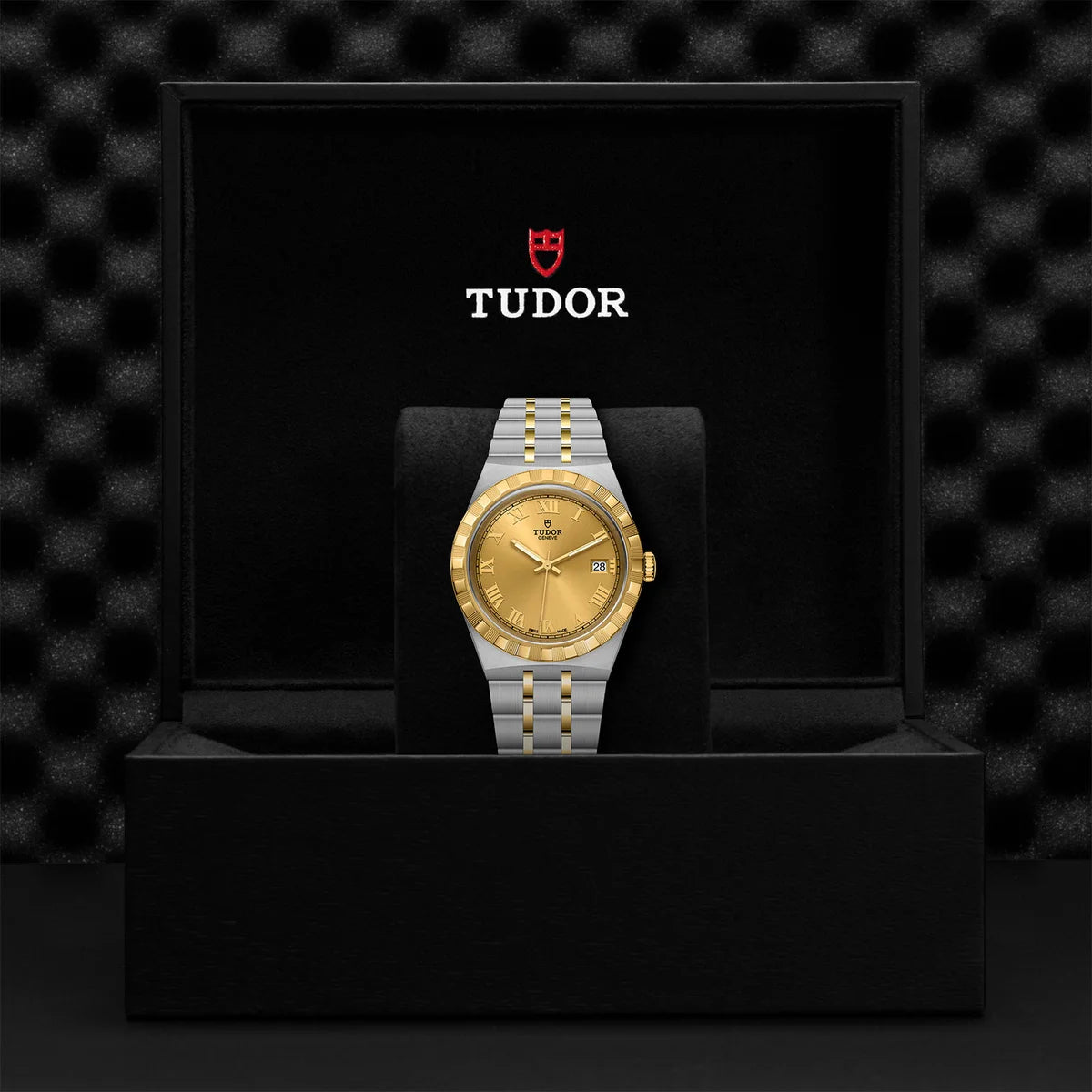 TUDOR Royal Two-Tone  38mm - Gold Dial