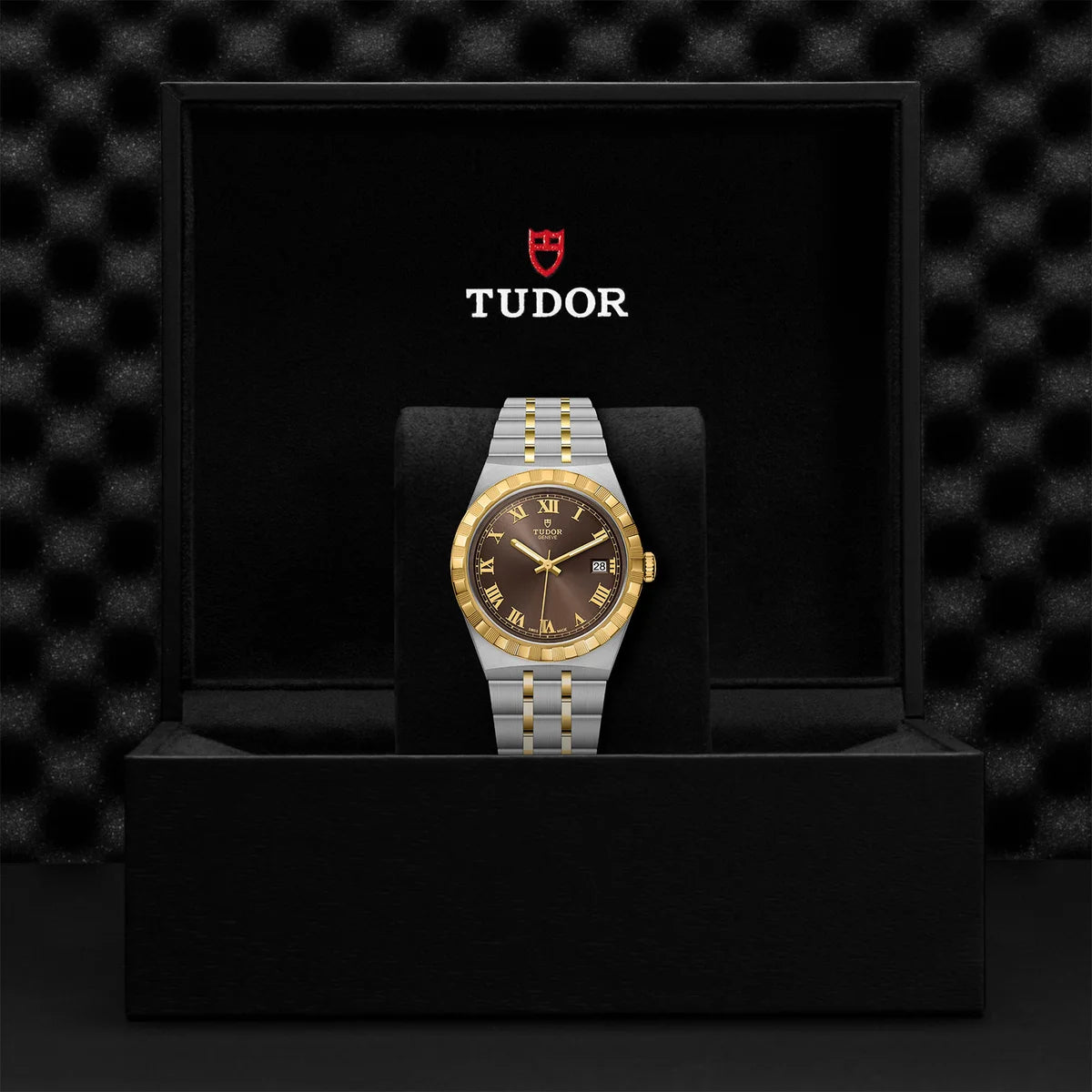 TUDOR Royal Two-Tone  38mm - Brown Dial