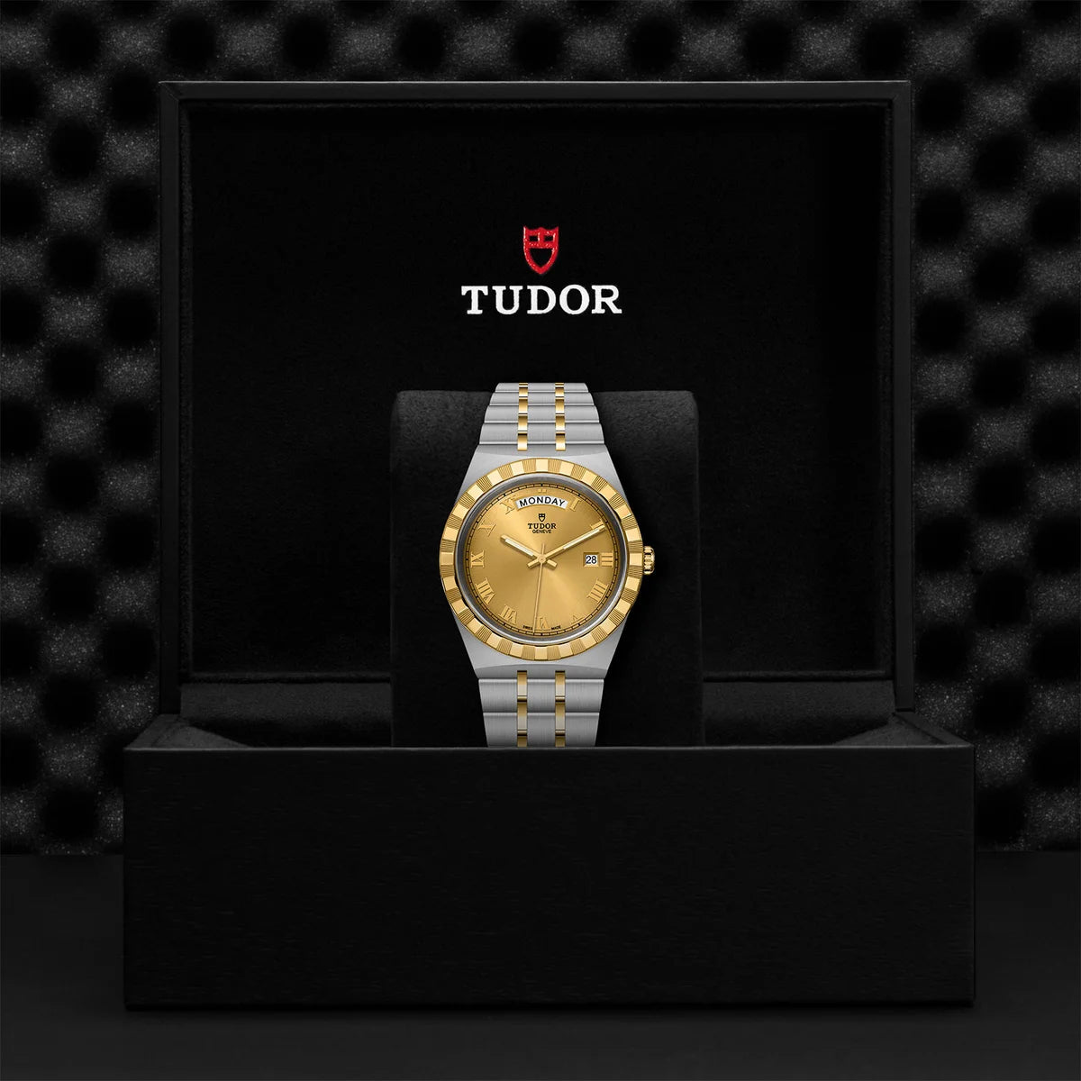 TUDOR Royal Two-Tone  41mm - Gold Dial
